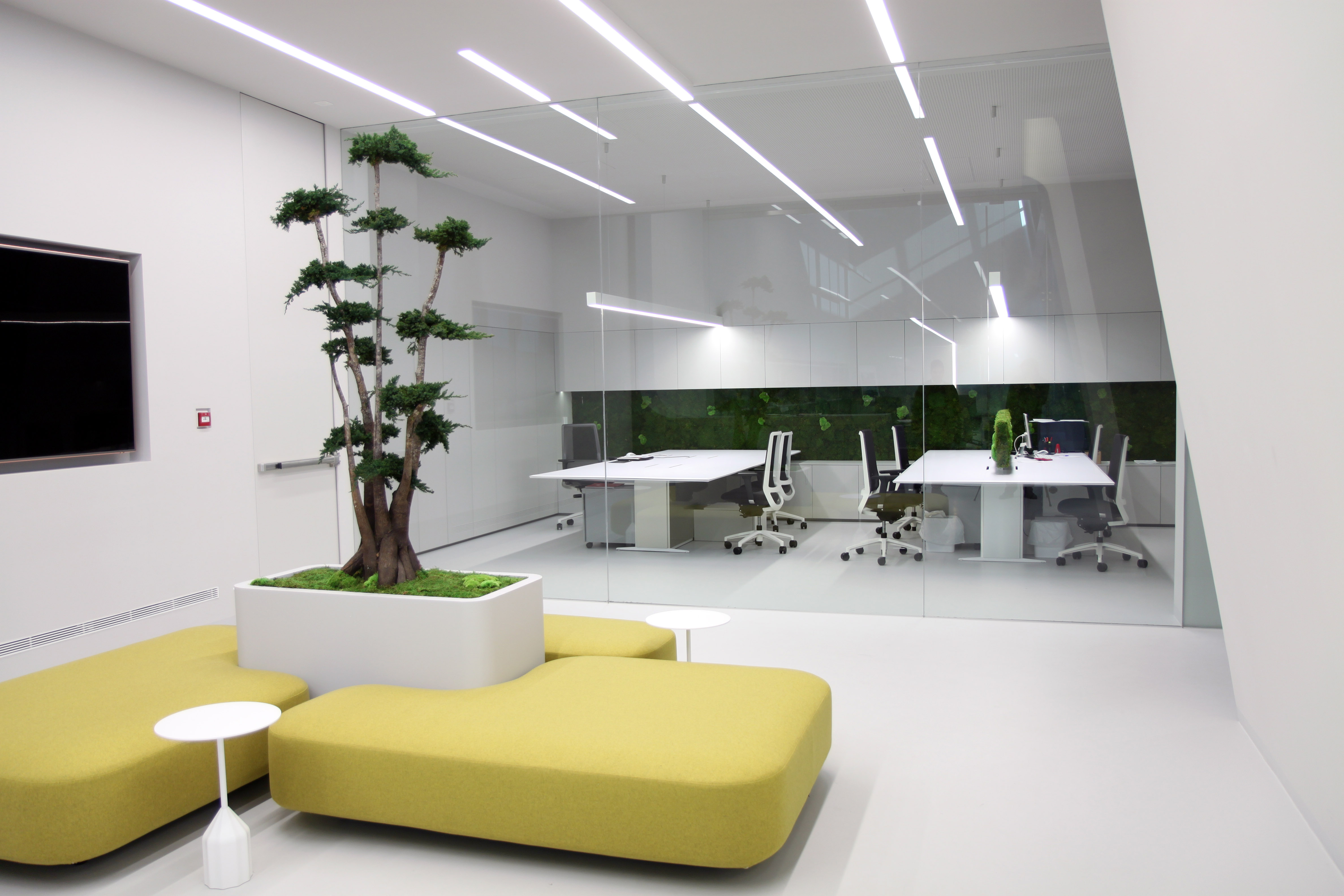 Gomarco | Oficinas Corporativas