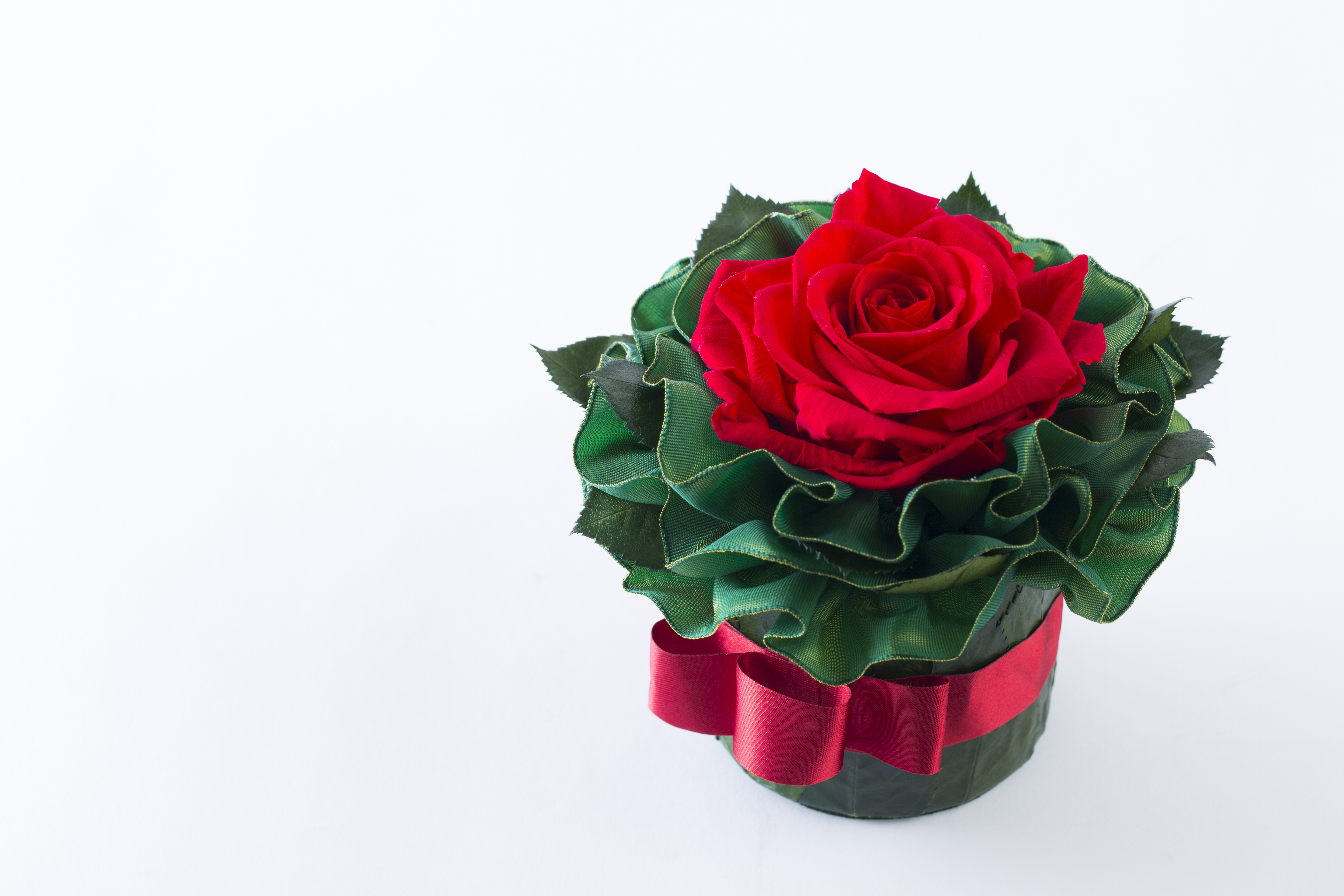 Floral Arrangement