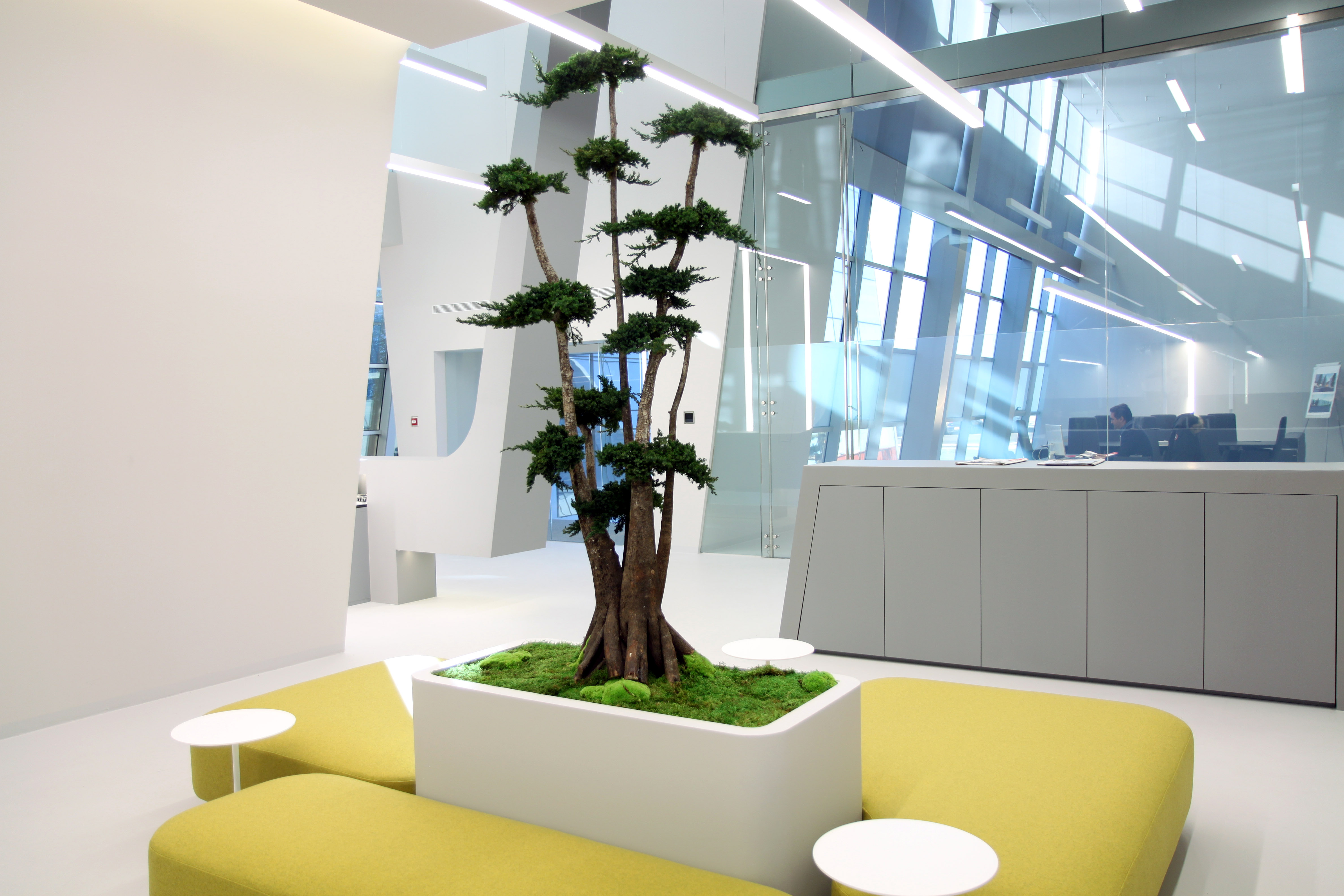 Gomarco | Oficinas Corporatiect: