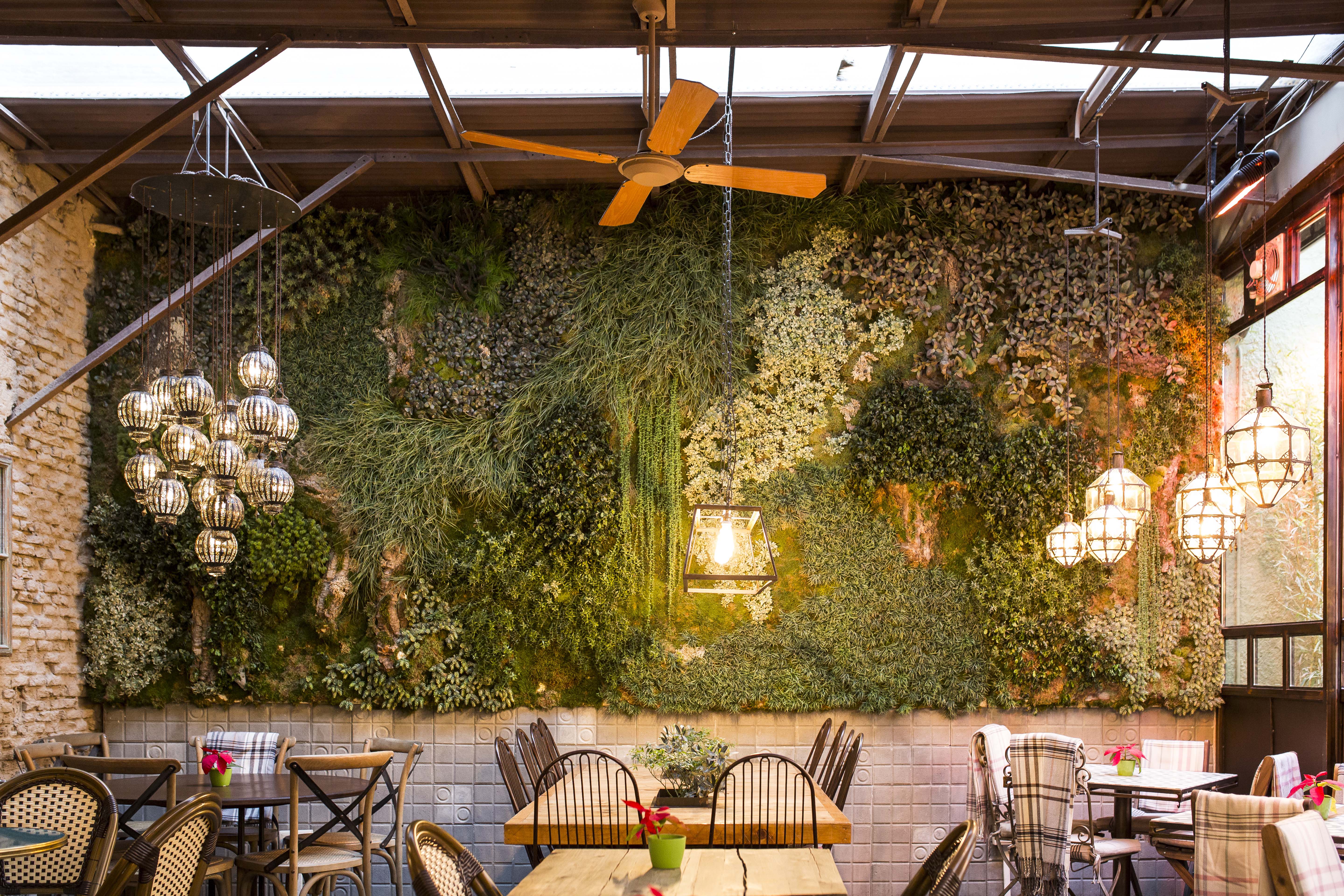 Patio del Fisgón Restaurant
