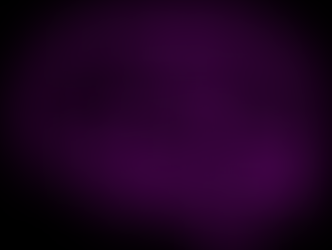 The Parasympathetic Nervous System