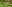 Landscaping1.jpg