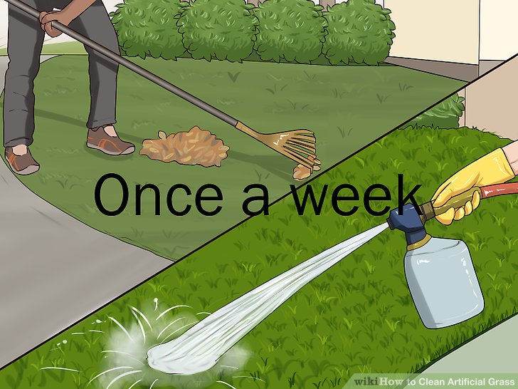 ree