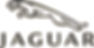 jaguar.jpg