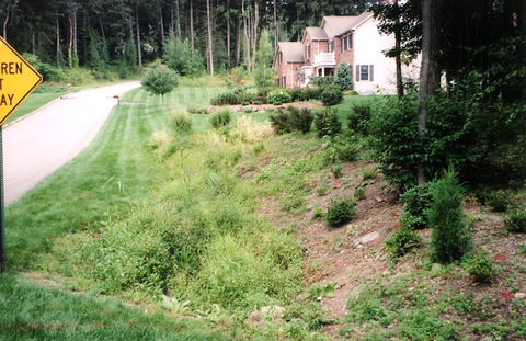 2005-03-09-18.31.20-2.jpg