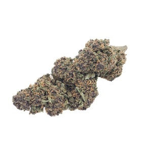 Purple Haze  Glass-House (RUPTURE)