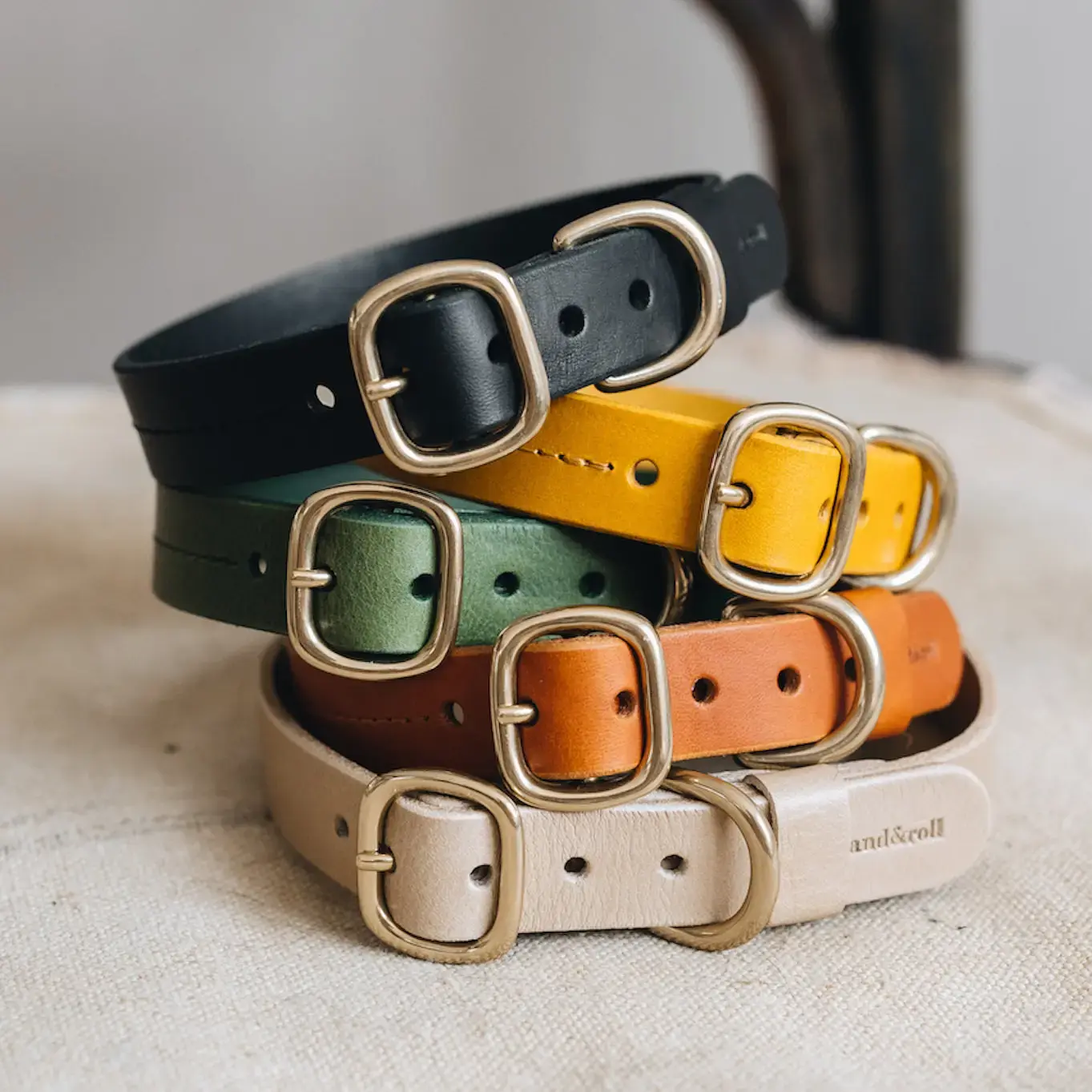 Collier chien en cuir