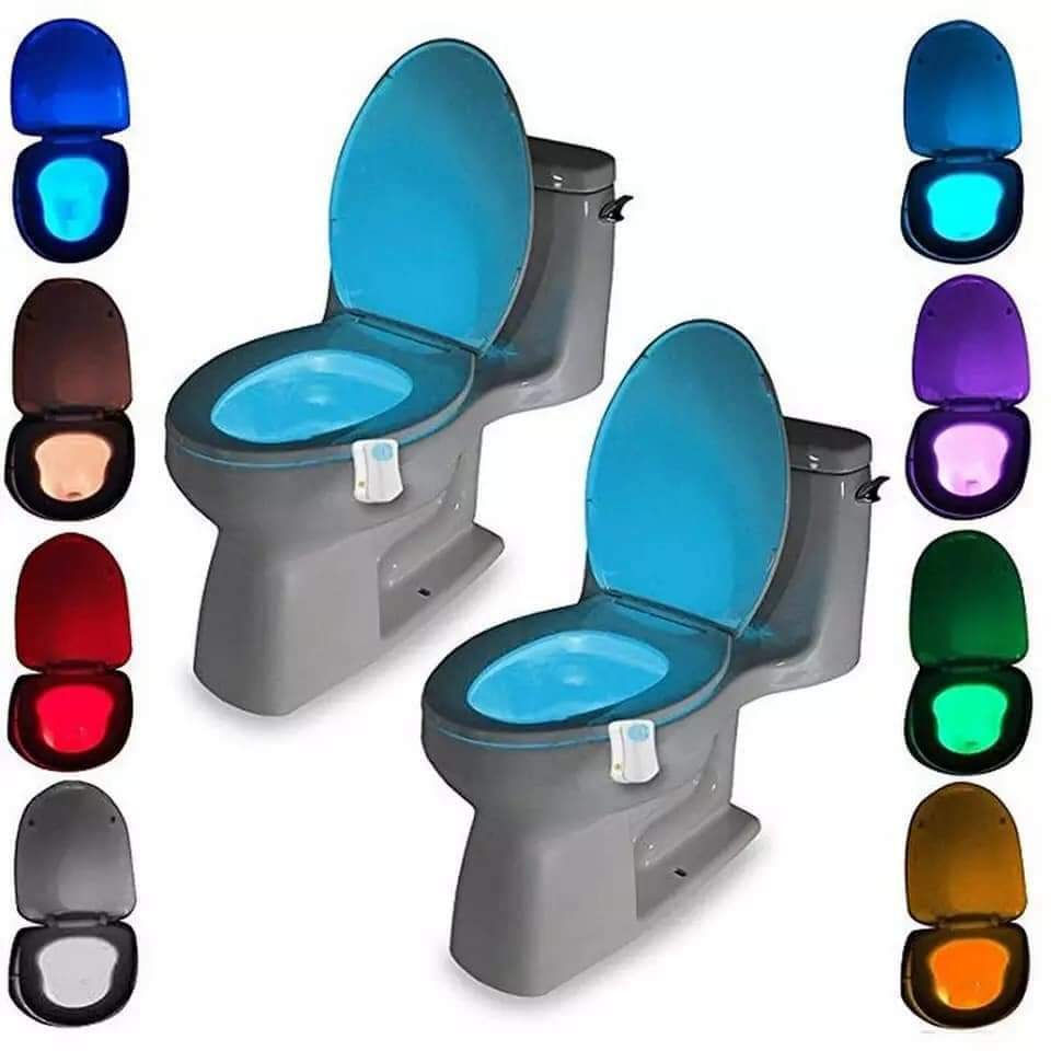 Toilet light