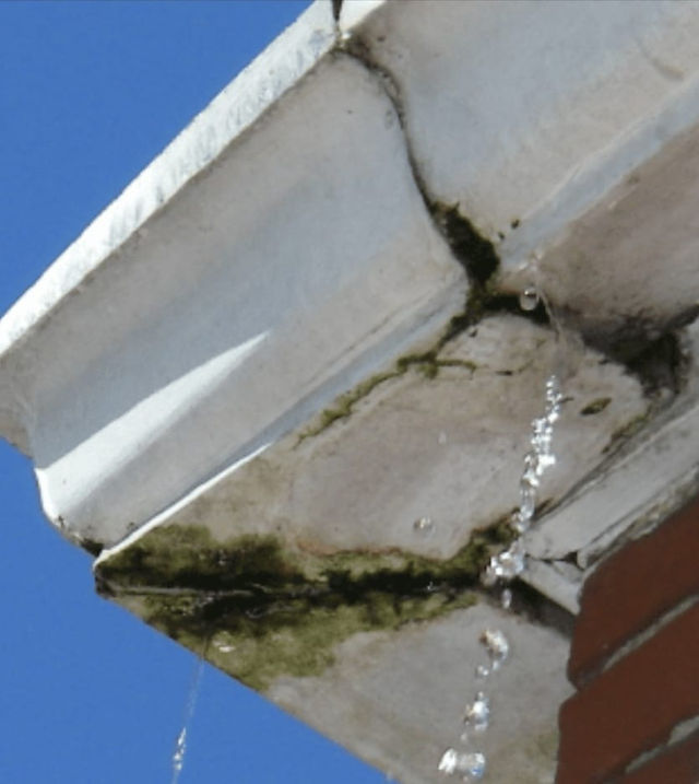 clean gutters Niagara, gutter cleaning tips, importance of gutter maintenance, Niagara home maintenance, prevent water damage, home maintenance advice, home buying tips Niagara, St. Catharines, Thorold, Welland, Port Colborne, Crystal Beach, Burlington, Hamilton, Dunnville, Fort Erie, Niagara on the Lake, Virgil, Grimsby, Beamsville, Niagara Falls, homebuyer, real estate, homeowner, home inspector, Southern Ontario, Golden Horseshoe, Oakville