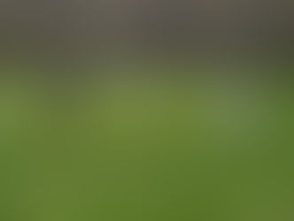First Match of the 2022 Field Target Season April 30, 2022