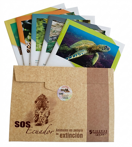 pack 1.png