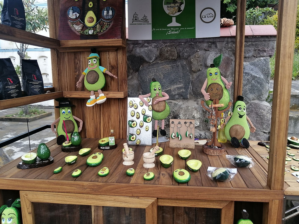 Museo aguacate 1
