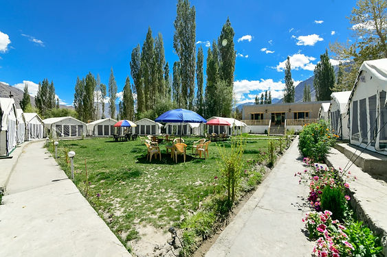 Camp Overview.jpeg