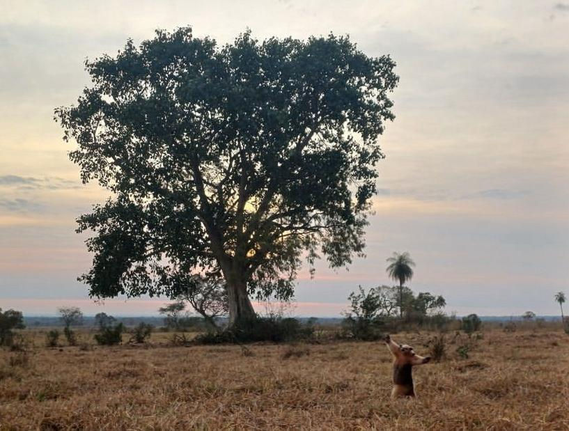 Tenemos la “Mejor fotografía de Naturaleza” 2024
