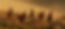 FotoGallinasRecurso 16_2x.png