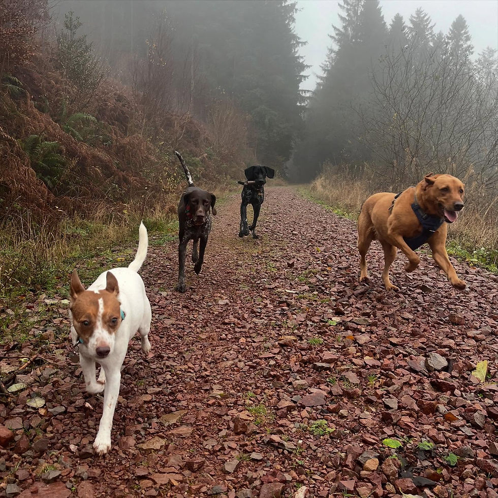 469468593_17949663146861342_6040142209082685415_n