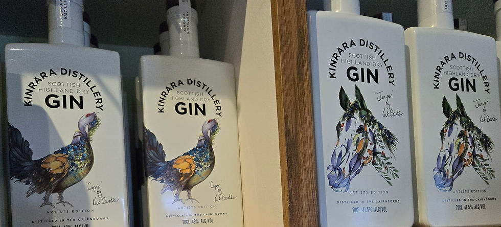 Gin Bottles