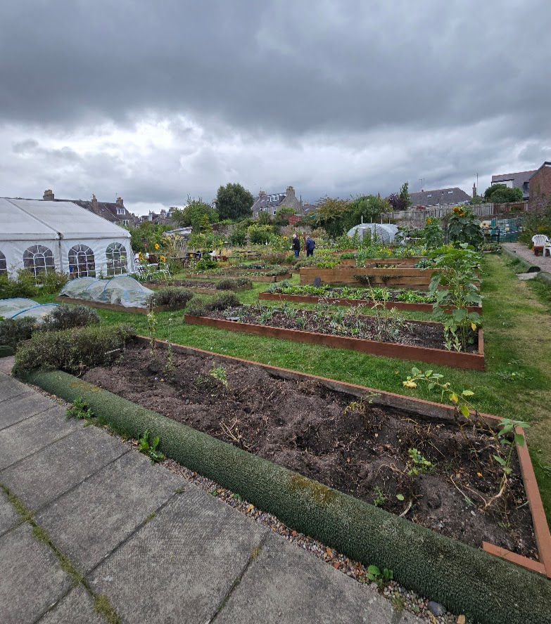 Bonny Muir Green