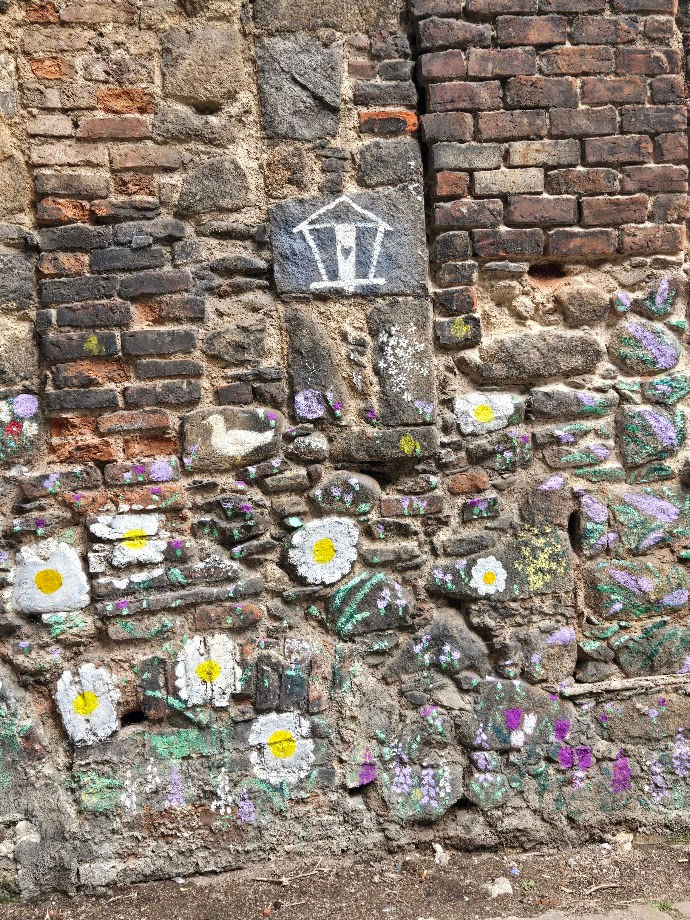 Gardeen by the Graffiti Grannies, grannies who under cover of darkness paint gardens in Aberdeen