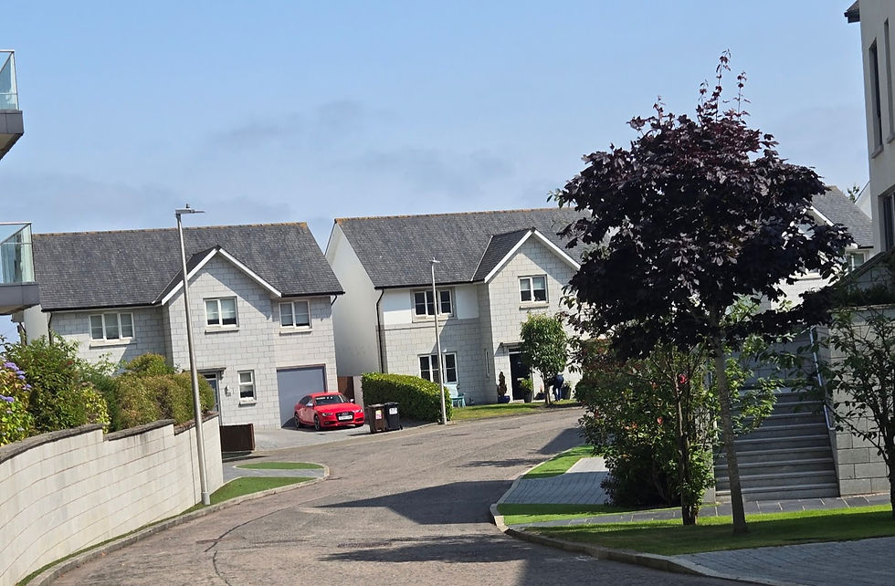 My Neighborhood