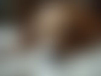 Emaciated Dog Recovery Tips: Caring for an Emaciated Dog Safely