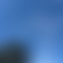 HPが新しくなりました🌸