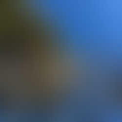 おさらい会のあと、教室に嬉しい変化がたくさん生まれました🌸