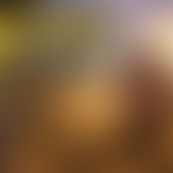 UDPATED: BUGGER THE BOSS Trail Rides are back at Maramarua Forest