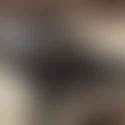 After cleaning—Burnaby kitchen stove and cooktop spotless and polished following post-renovation service.