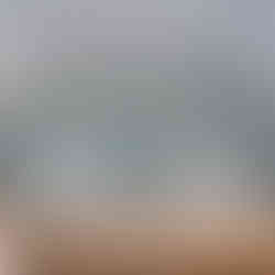 Fridge interior after Richmond move-out cleaning, with drawers, shelves and seals thoroughly cleaned.