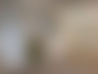 Living room at a Winter Crescent home in Surrey with fireplace protective coverings and construction dust, prior to professional post-renovation cleaning.