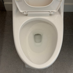 Toilet seat, bowl, and surrounding area shining after expert cleaning service in this property.