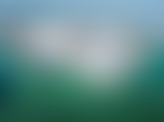 Descubra os Cruzeiros que Saem de Orlando - Port Canaveral: Um Guia Completo para Aventuras Incríveis no Caribe