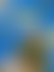 Quina ou Lotofácil: qual tem melhor custo-benefício em 2026?