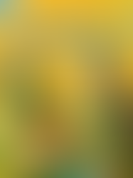 Mega-Sena 30 Anos: de 1996 a 2026