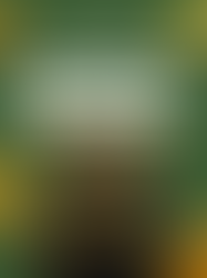 Roteiro do ganhador: os passos oficiais para receber prêmios da Caixa