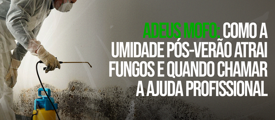 Adeus Mofo: Como a Umidade Pós-Verão Atrai Fungos e Quando Chamar a Ajuda Profissional