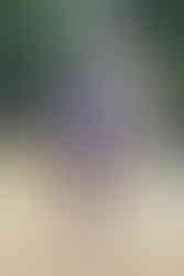 Reign Soccer Game Palm Desert Sports Photography