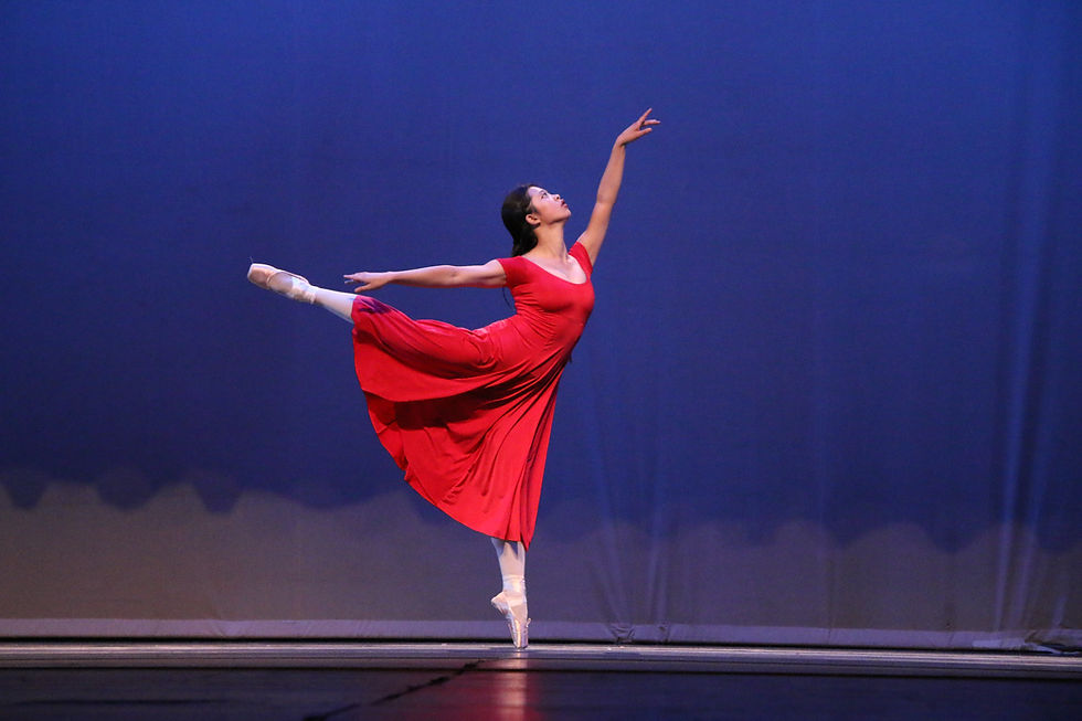 Rhythmic Bodies in Motion Dance Show Photography