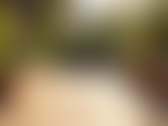 Creative Ideas for Garden Decking