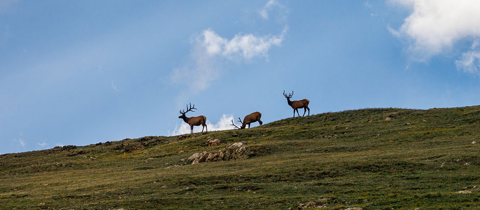 My 10 Best Photos of 2025