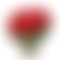 Ils ont tous trouvé preneurs !