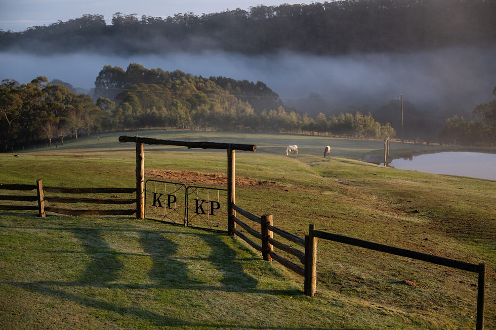 KP-gate-morning-1200x800.jpg