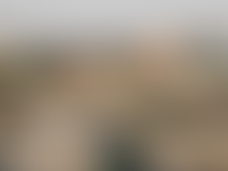 Urgent Appeal Filed for Arbitrarily Detained Woman Journalist in Afghanistan