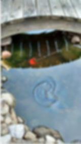 Screen Shot 2019-08-28 at 9.09.27 PM.png