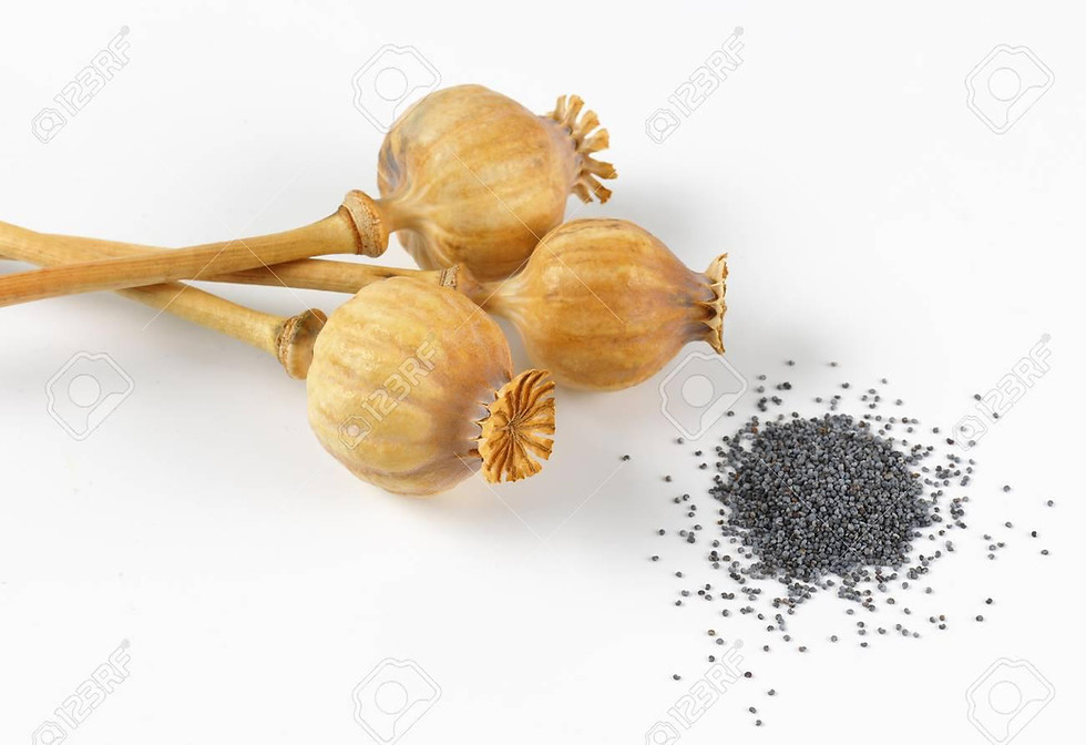 poppy pods,
