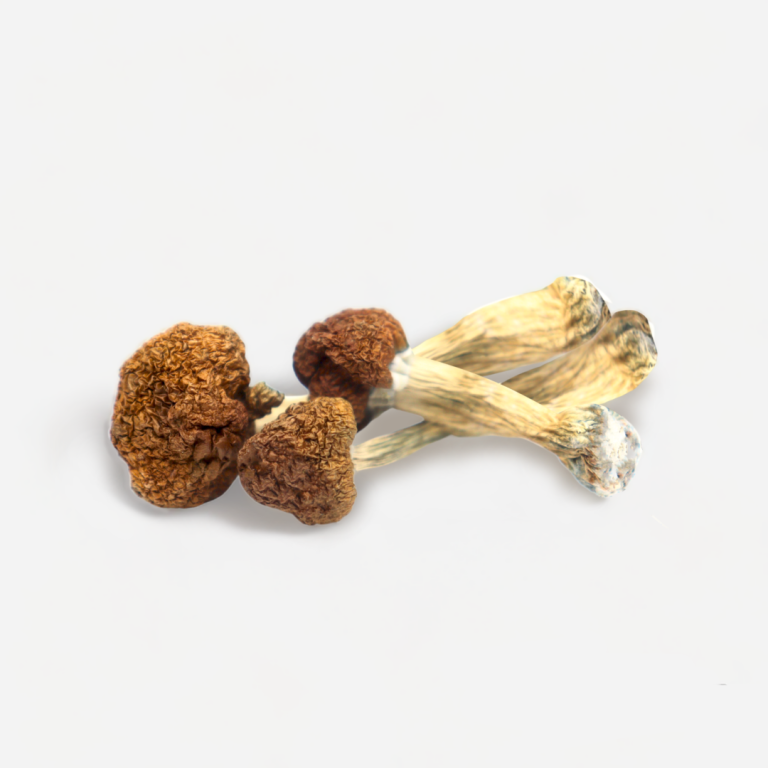 Hawaiian Magic Mushrooms
