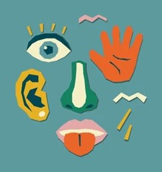 Cartoon representation of the 5 senses. An eye, and ear, a nose, a mouth, a hand
