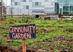 community-garden.jpeg
