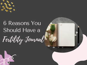 6 Reasons You Should Have a Fertility Journal